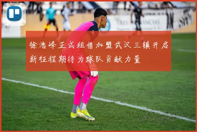 徐浩峰正式租借加盟武汉三镇开启新征程期待为球队贡献力量